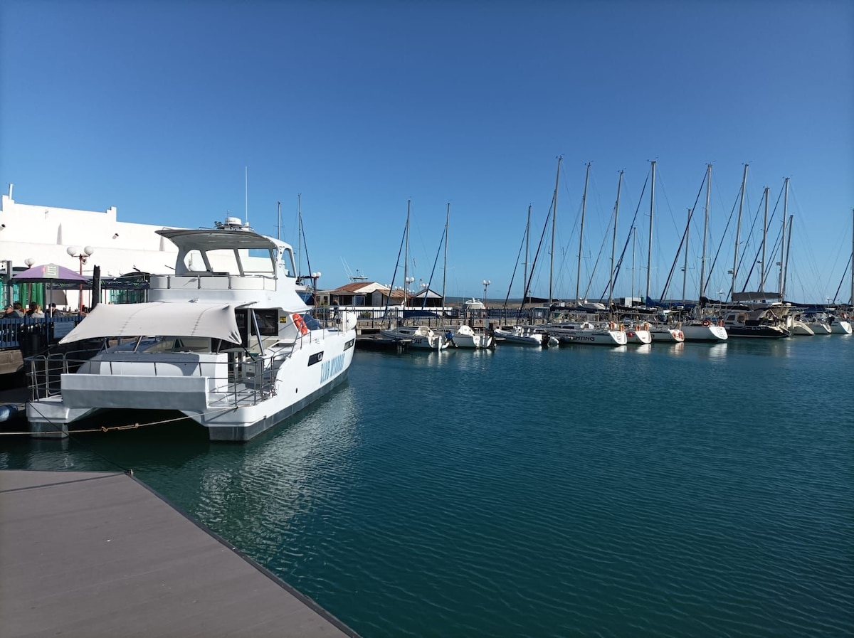 A marina scene features various boats docked along the calm blue waters. Sailboats with tall masts and a larger motorboat are visible, with a bright clear sky above. The vibrant setting provides a glimpse of a lively waterfront atmosphere.