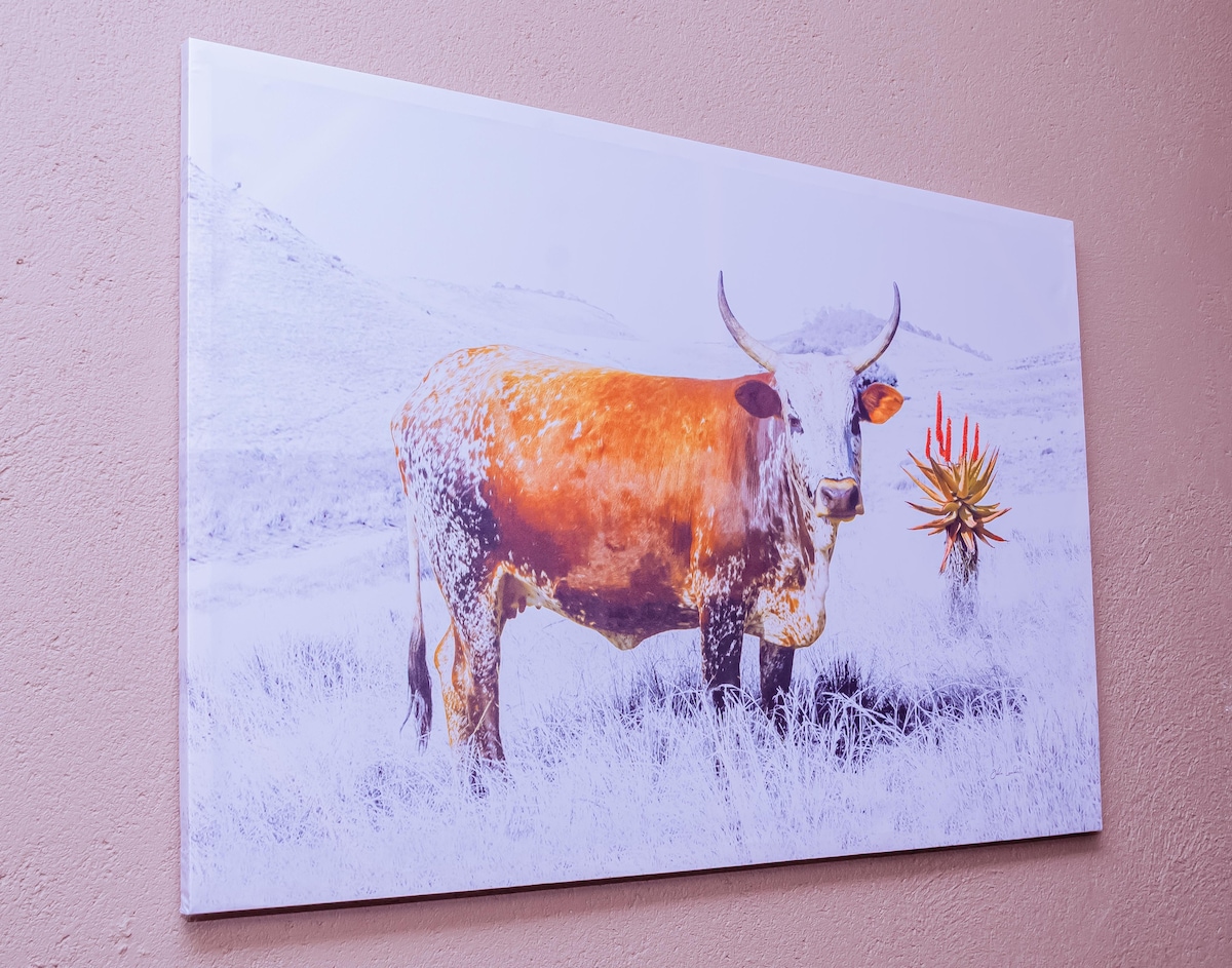 A large canvas print depicts a longhorn cow standing in a grassy landscape. The animal's orange and white coat contrasts with the muted backdrop, highlighting a solitary plant nearby. The image captures serene and natural outdoor scenery.