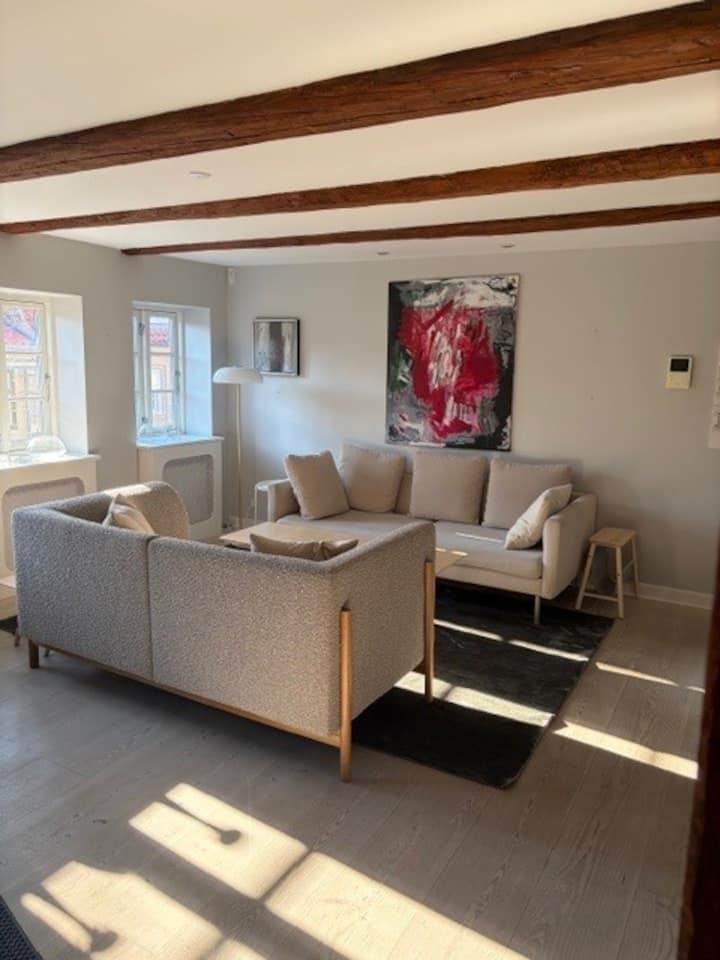 Luxurius Roof-top Apt. 4 People - コペンハーゲン
