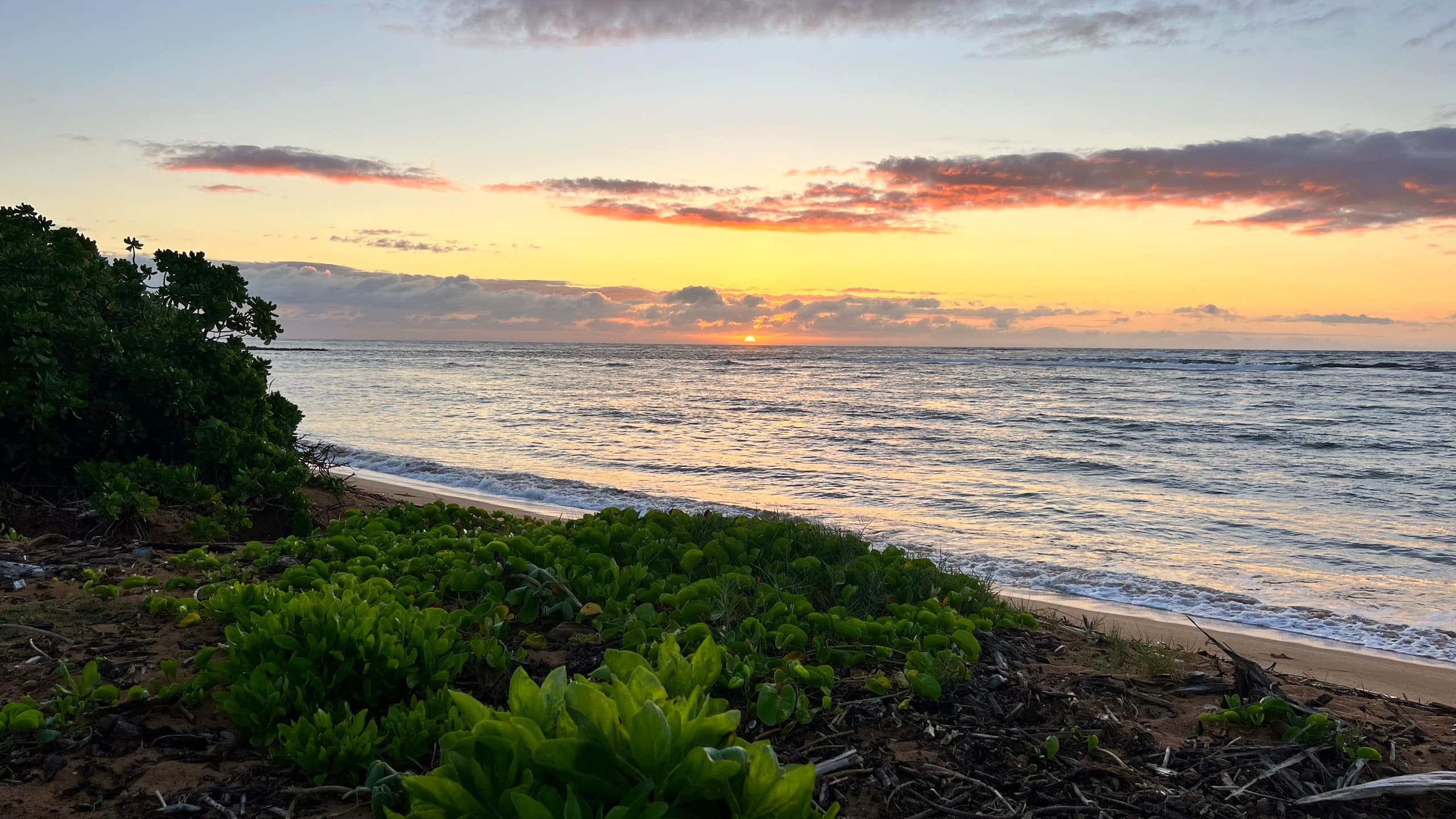 Condo in Kapaa · ★4.95 · 2 bedrooms · 4 beds · 3 private baths - Image 73