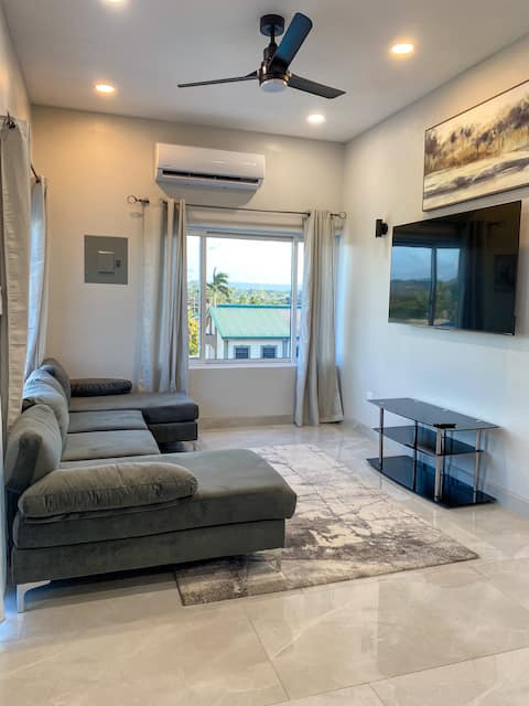 Plush Skyview Penthouse