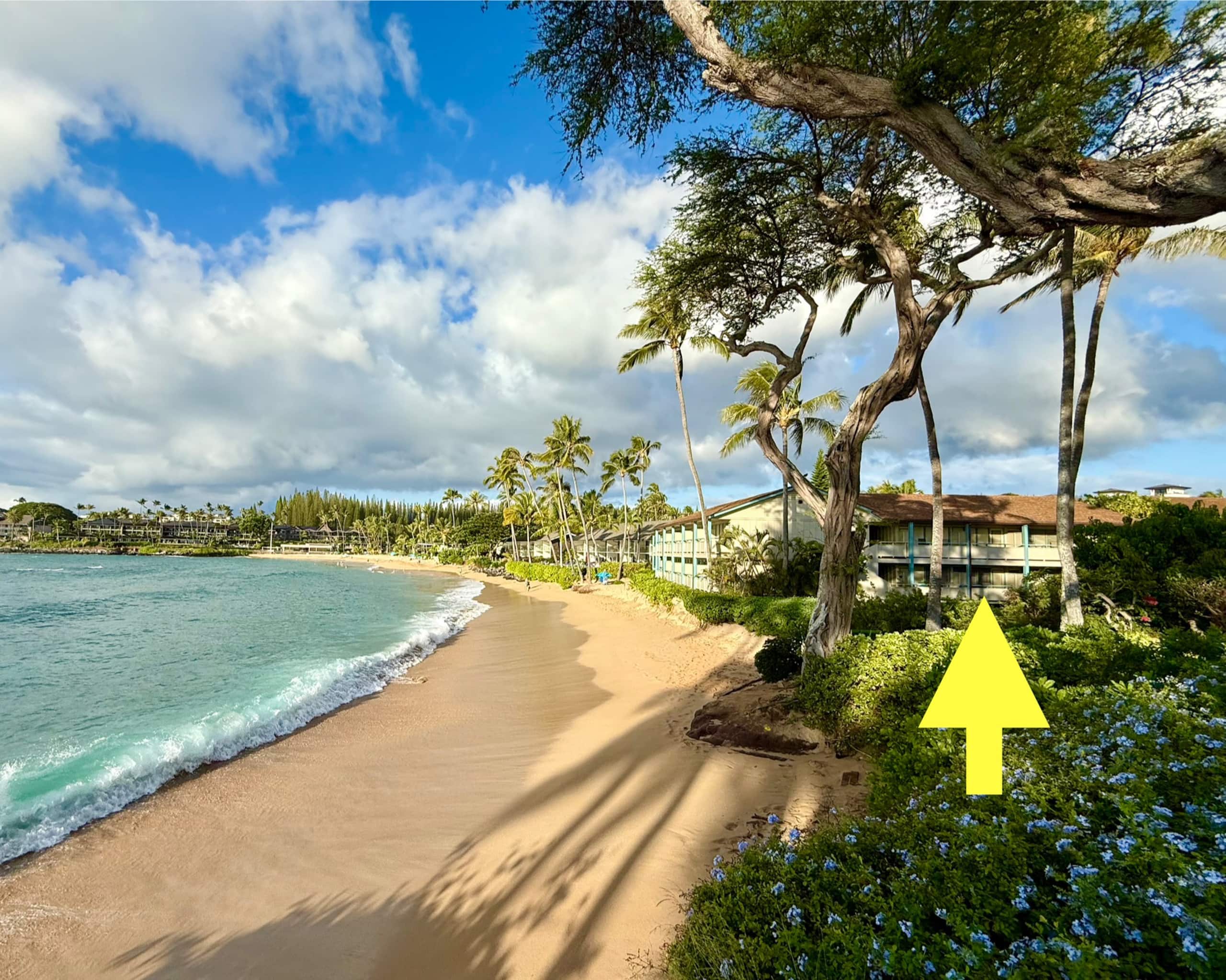 Condo in Lahaina · ★5.0 · Studio · 2 beds · 1 bath - Image 24