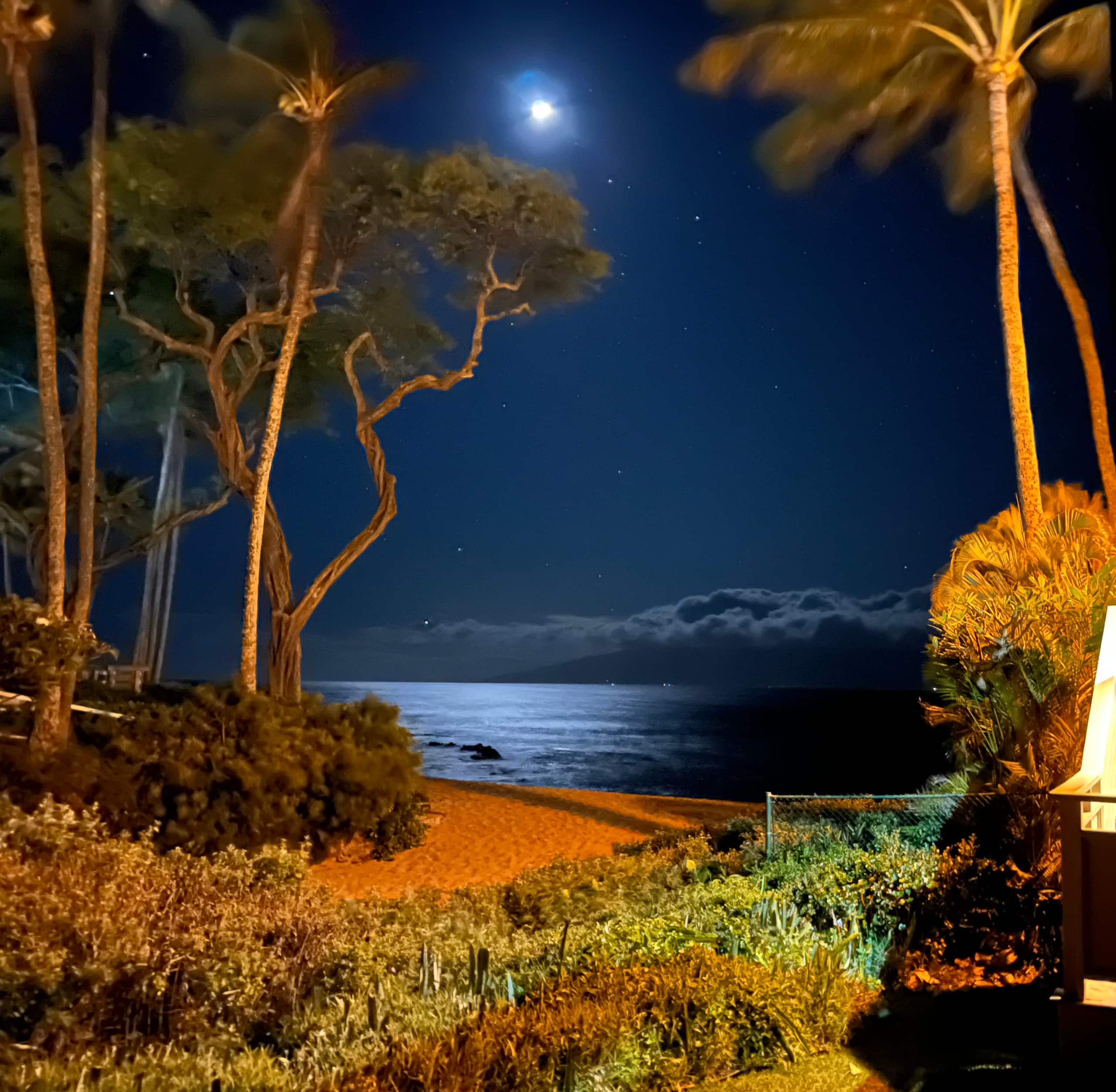Condo in Lahaina · ★5.0 · Studio · 2 beds · 1 bath - Image 12