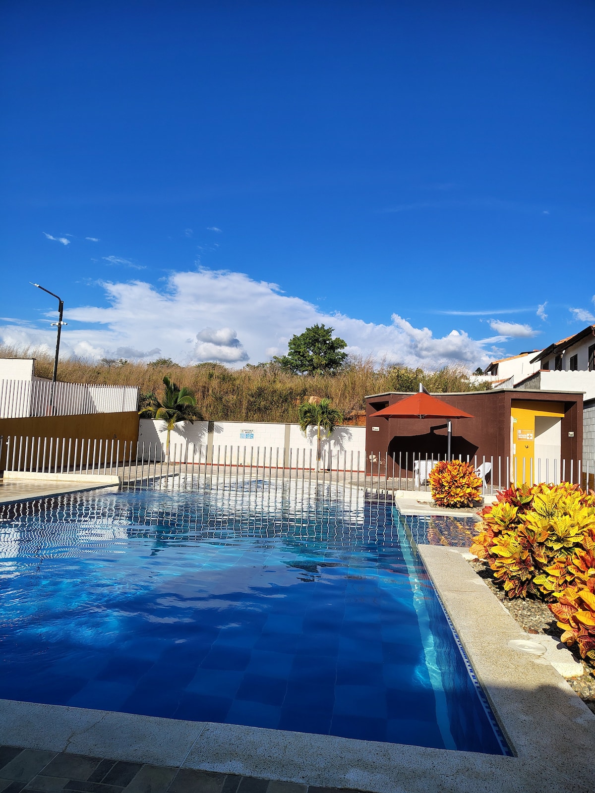 A serene outdoor pool is surrounded by lush greenery and colorful plant life. The clear blue water reflects the bright sky, and a shaded seating area is visible in the background. Fencing ensures privacy, creating a tranquil environment for relaxation.