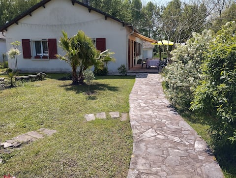 for our British friands also.