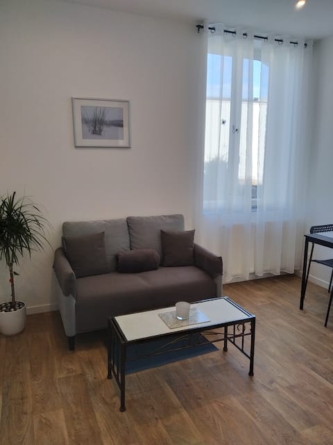 Successful Airbnb property: Beautiful 2-room apartment #Apt3 in Tourcoing