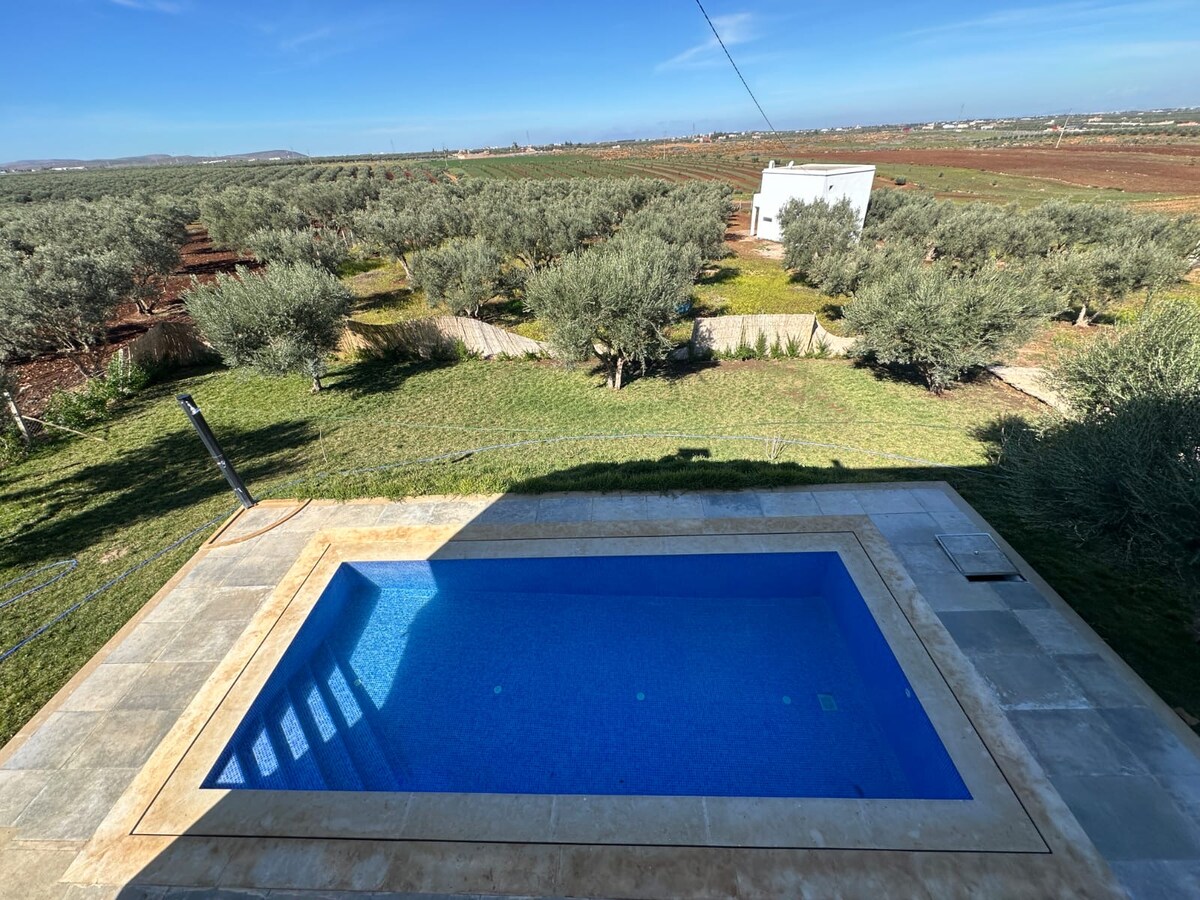 A private swimming pool sits nestled within a well-maintained outdoor space, surrounded by lush greenery and olive trees. The clear blue water reflects the sky, while the sun casts gentle shadows along the pool's edge. The expansive countryside provides a serene backdrop.