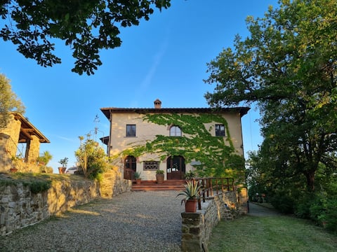 Il Castellaccio di Figline 2