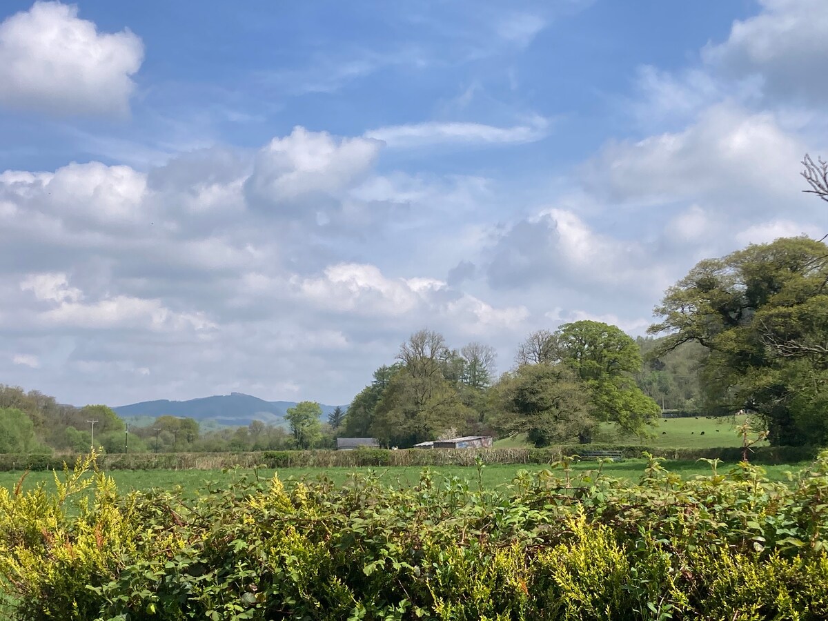A view of rolling green fields is captured under a partly cloudy blue sky. Foliage in the foreground frames the scene, while distant hills and trees provide a calming backdrop. Two structures are visible in the distance, blending harmoniously with the natural landscape.