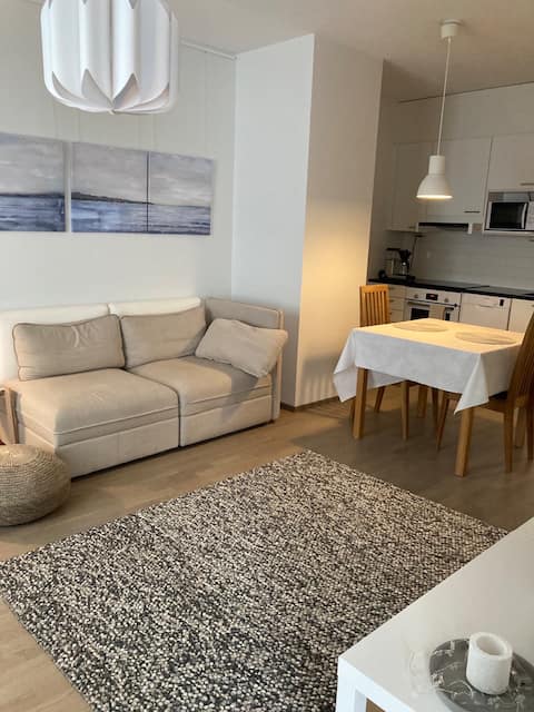 Top performing Airbnb: Modern two-bedroom apartment in Kalasatama in Sörnäinen