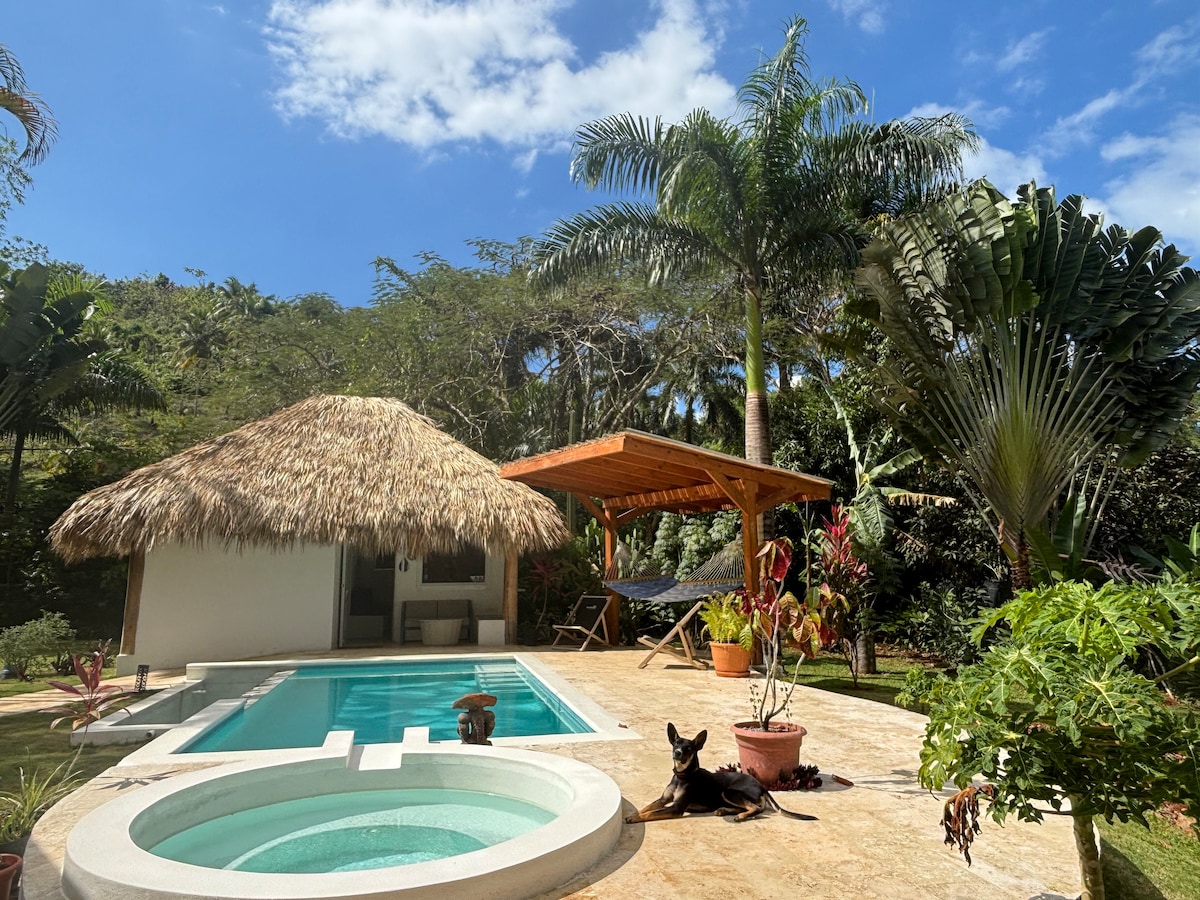 A serene outdoor area features a private pool surrounded by tropical plants. A thatched-roof bungalow is visible alongside a wooden gazebo. Two dogs are resting near the pool, under a clear blue sky with scattered clouds, creating a peaceful atmosphere.