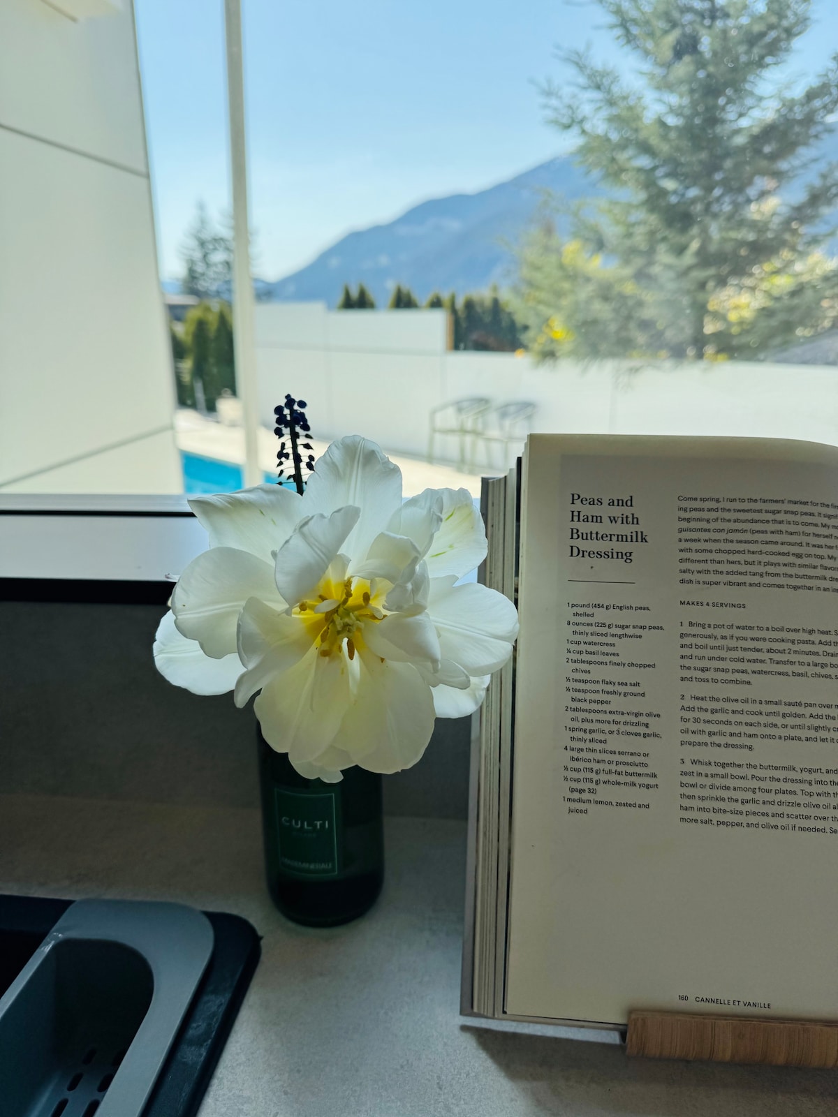 A kitchen counter is depicted, featuring a small bottle of flowers beside an open recipe book. Through a window, a view of mountains and a swimming pool is visible. Bright natural light fills the space, enhancing the serene atmosphere.