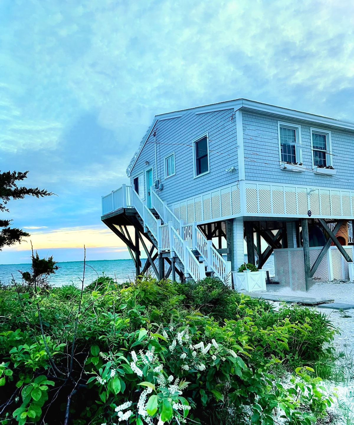 A charming cottage is elevated on stilts, surrounded by lush greenery and coastal plants. The exterior features light blue siding and multiple windows, providing views of the ocean. Stairs lead up to a spacious deck, offering a seamless connection to the picturesque outdoor environment.