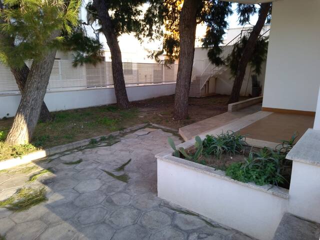 afrodite 1 gallery image 4