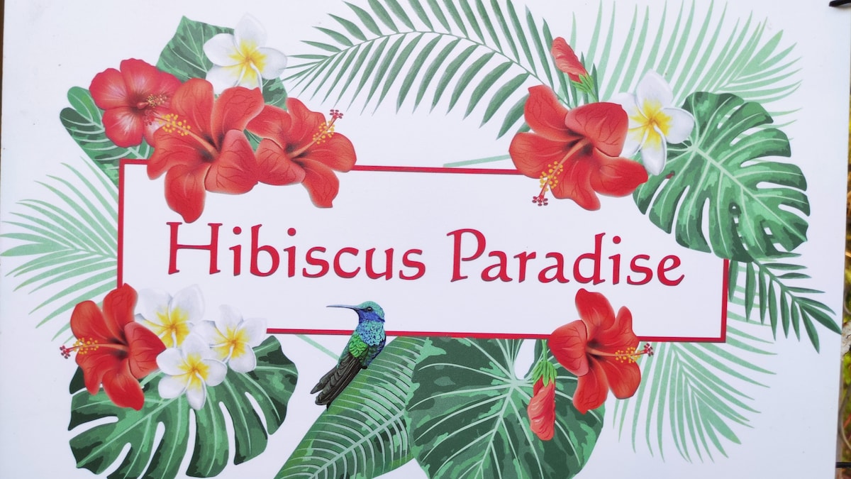 A vibrant sign featuring the words 'Hibiscus Paradise' is surrounded by colorful hibiscus flowers and tropical foliage. A small hummingbird is depicted among the greenery, adding to the tropical theme. The bright colors and natural elements emphasize a relaxed atmosphere.