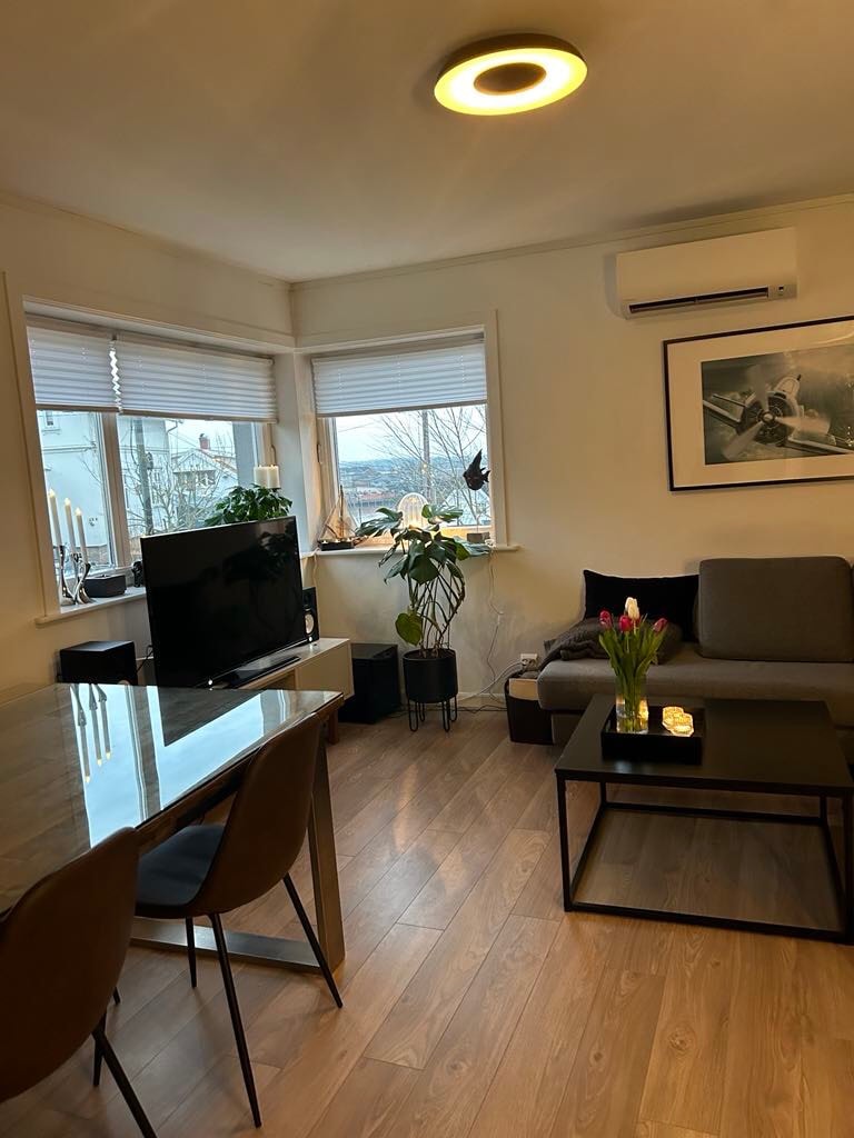 A cozy living space features large windows allowing natural light to illuminate the room. A comfortable sofa is positioned next to a black coffee table, while a dining table with three chairs complements the area. Decorative plants add a touch of greenery throughout.