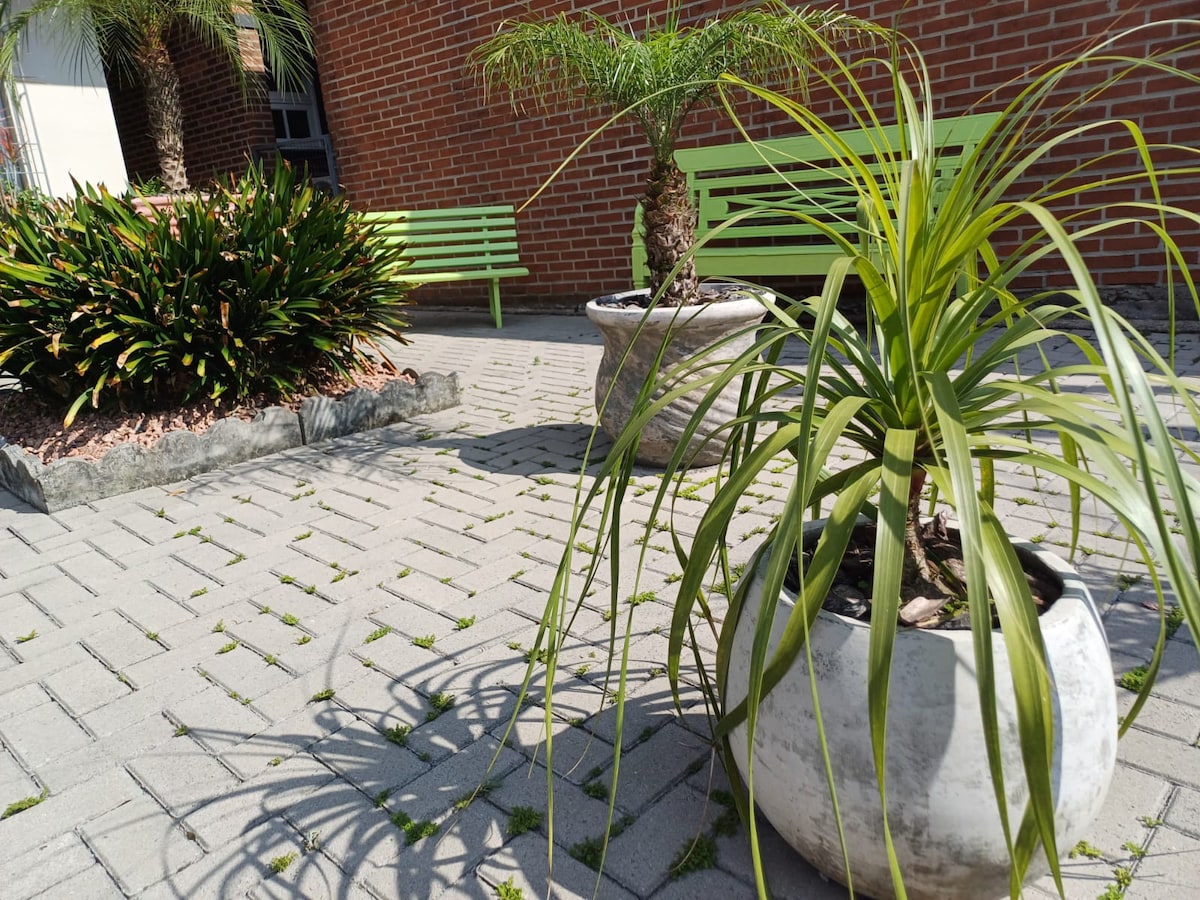 A landscaped outdoor area features two green benches alongside flowering plants. A large, round planter holds a tall grass-like plant, while another planter with a palm is visible. The paved surface showcases neat patterns, creating a welcoming ambiance.