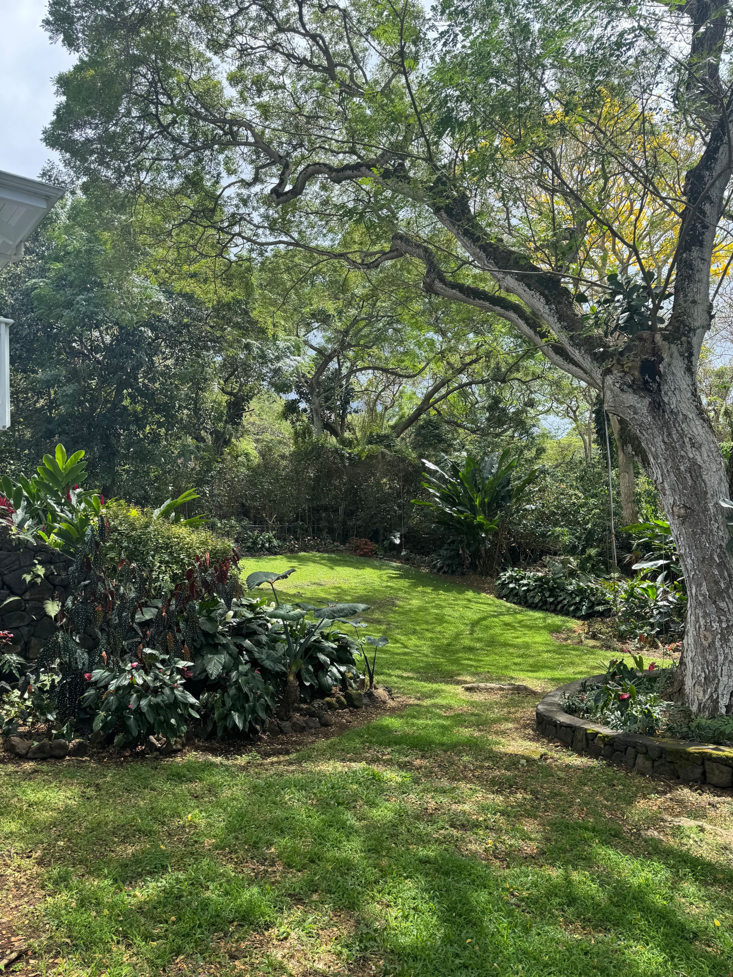 Family-Friendly Retreat Guest Suite-Pool & Lanai! - Photo 21