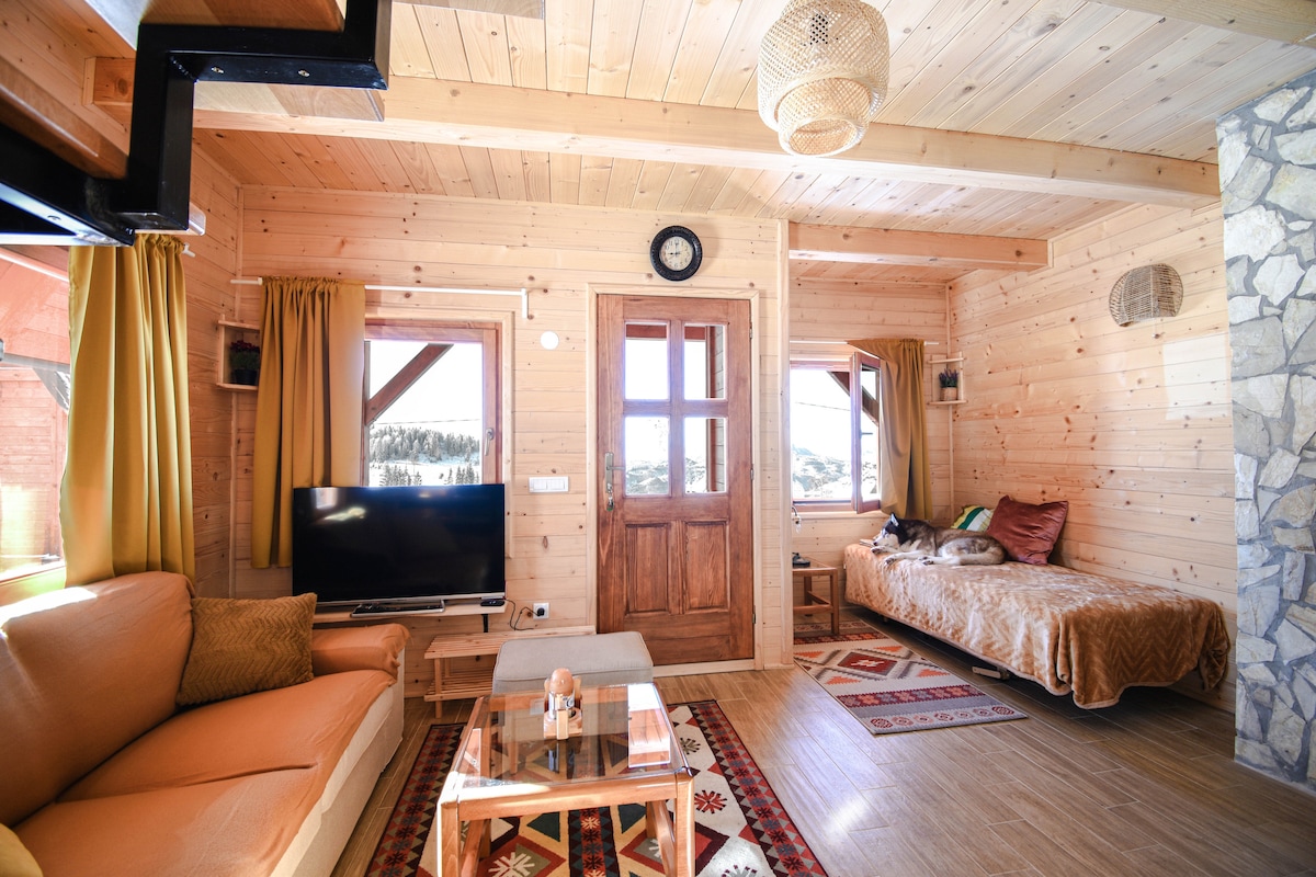 A cozy living area features wooden walls and a wooden floor, creating a warm atmosphere. A television is positioned across from a comfortable sofa. Sunlight filters through large windows adorned with golden curtains, while a decorative rug adds a touch of color to the space.