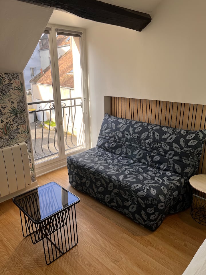 Studio Duplex Hypercentre Au Calme Avec Parking - Fontainebleau