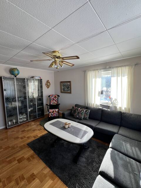 Successful Airbnb property: House with lake view, evening sun & private beach in Bengtsfors