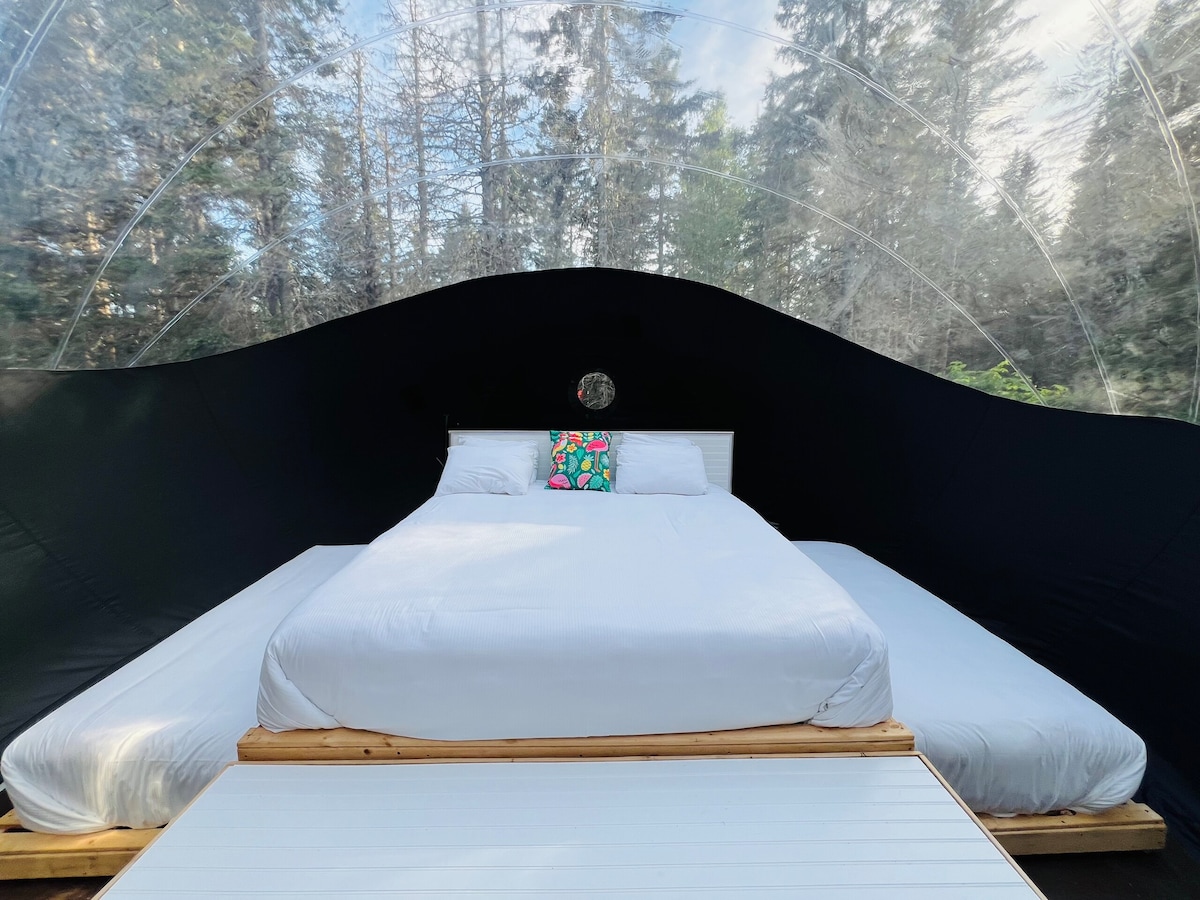 Planimetria e krevatit
1 krevat dopio "king" që tërhiqet + 2 krevate tekë