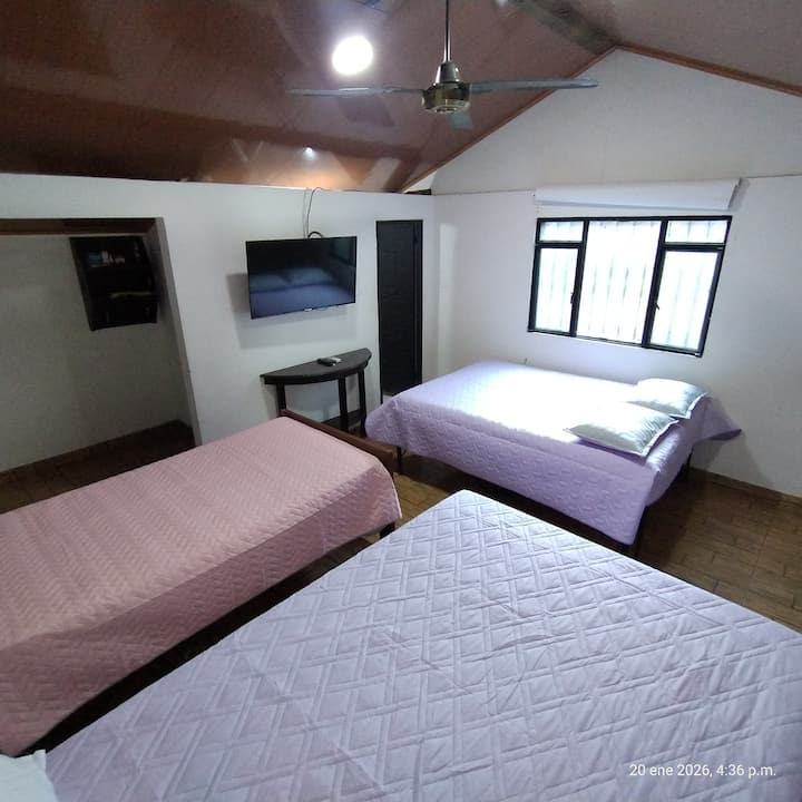 Quarto 5