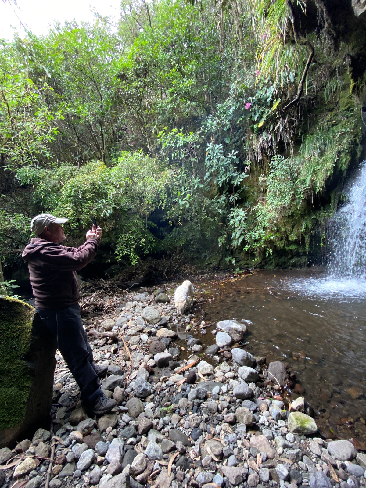 A serene waterfall cascades down rocky terrain, surrounded by lush greenery. A person stands along a pebbled riverbank, capturing the scene with a camera. The water creates gentle ripples, reflecting the vibrant foliage overhead and creating a tranquil atmosphere.