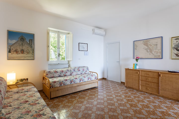 Habitación 1