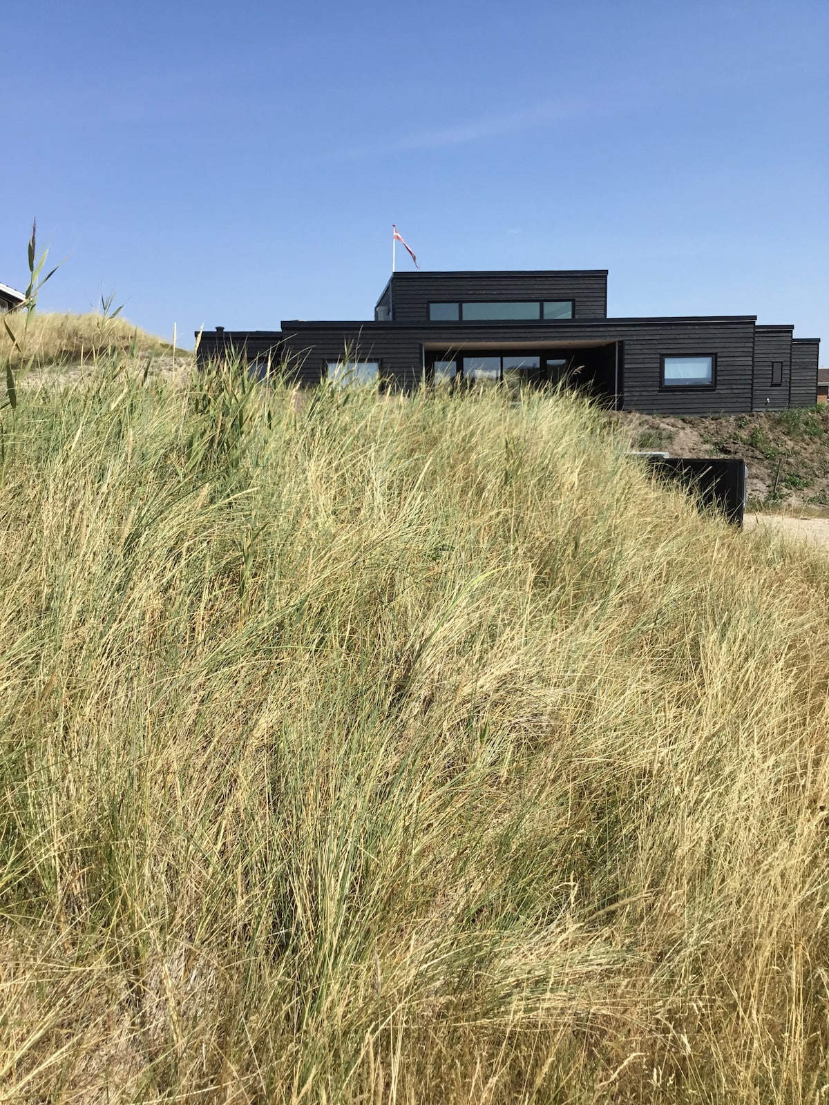 A modern summer house is partially obscured by tall grass, with a sleek black exterior and large windows reflecting the clear blue sky. A Danish flag is visible atop the structure, indicating the coastal location.