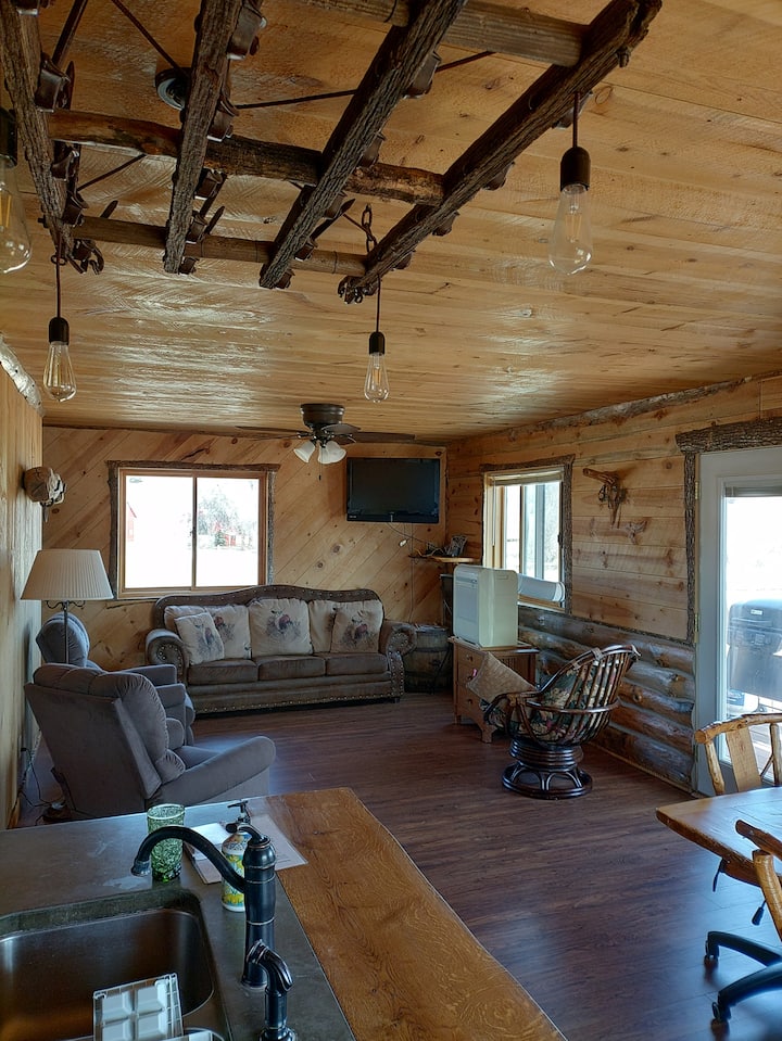 Middle level living room with balcony-  back yard entry 