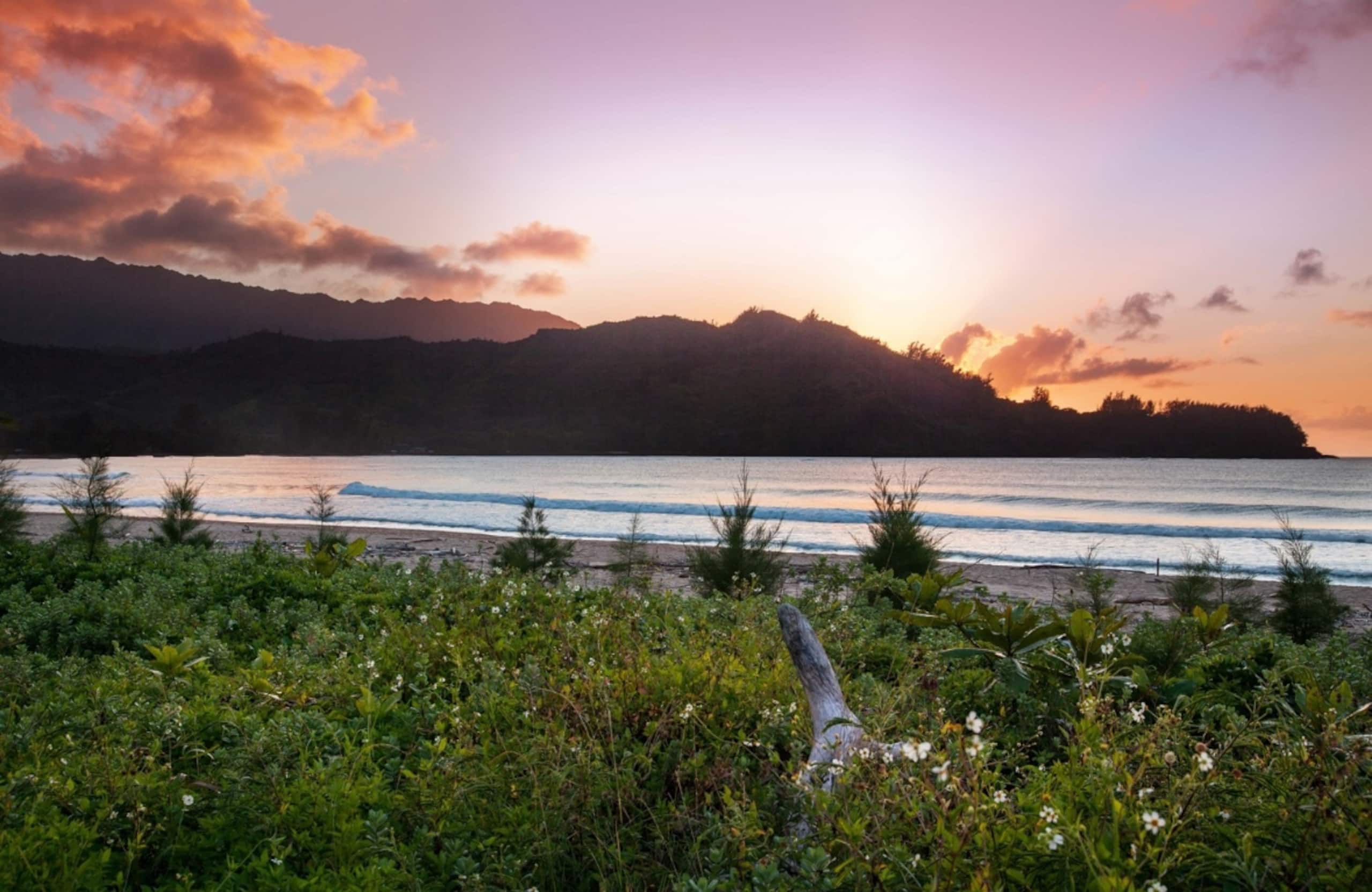 2 BR Villa @ Westin Princeville Ocean Resort! - Photo 13