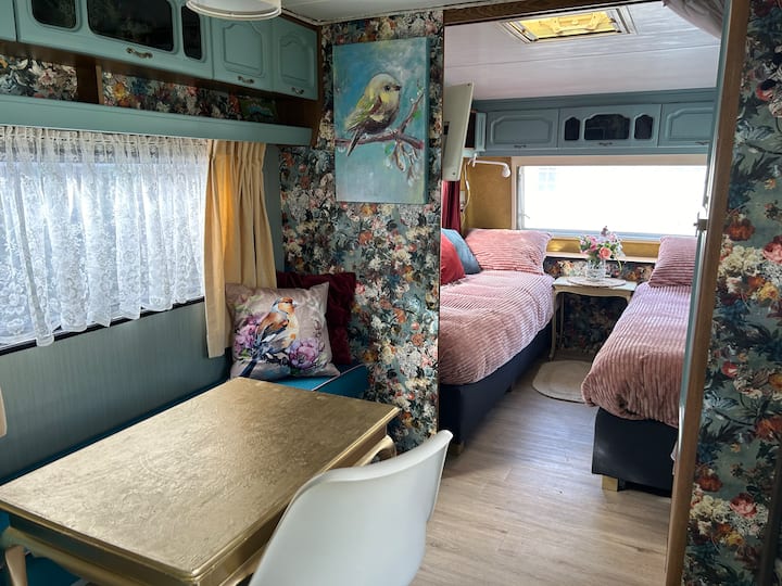 Kleurrijke Comfortable Caravan - Brunssum