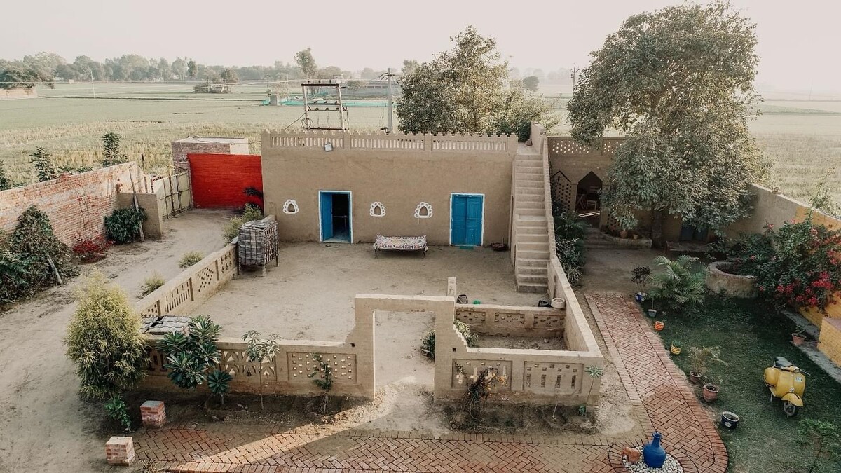 An aerial view of a rustic courtyard is presented, surrounded by lush green fields. The courtyard features beige walls with blue doors and several planted areas, showcasing a mix of vegetation. A staircase leads to an upper level, while a seating area with a traditional design adds to the ambiance.