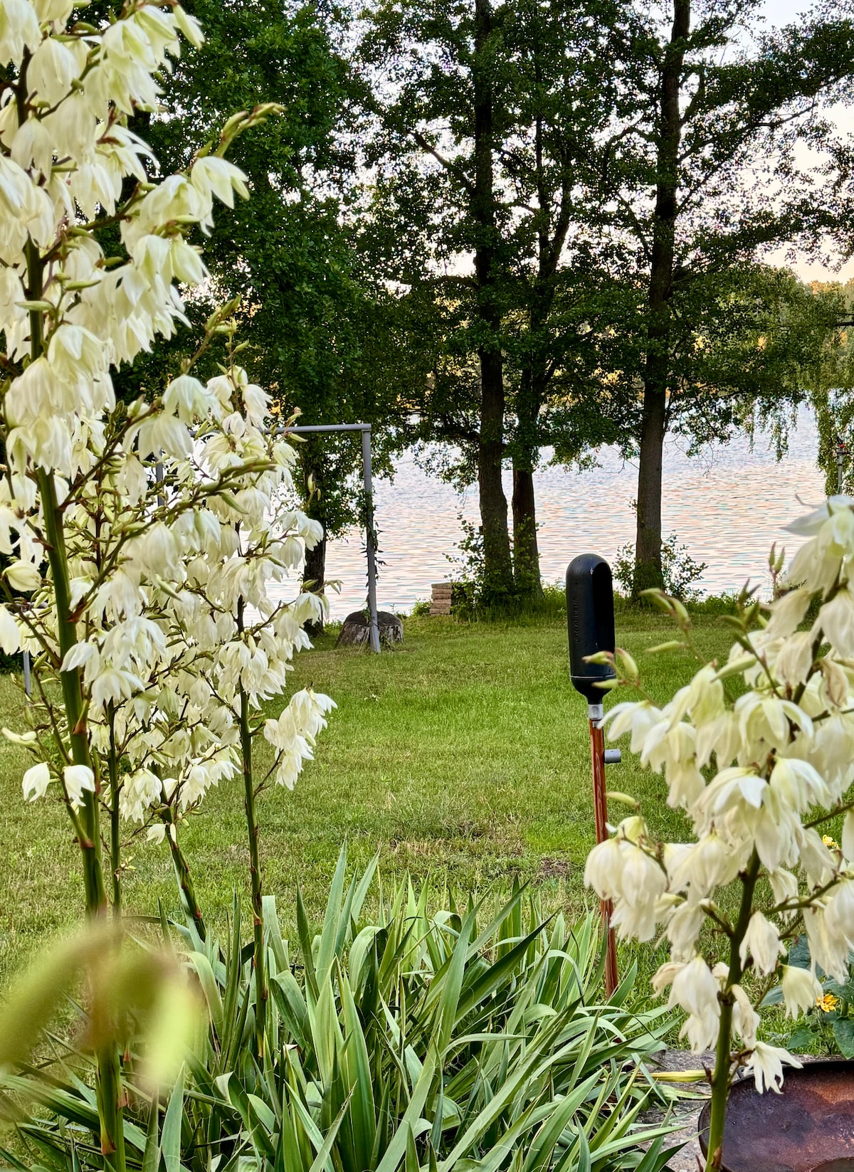 A serene view of a grassy area bordered by blooming plants, leading to a tranquil lake. The shimmering water reflects the surrounding trees, creating a peaceful natural setting. A glimpse of a swing is visible in the background, enhancing the outdoor ambience.