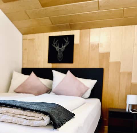 Modern, dog-friendly apartment 2