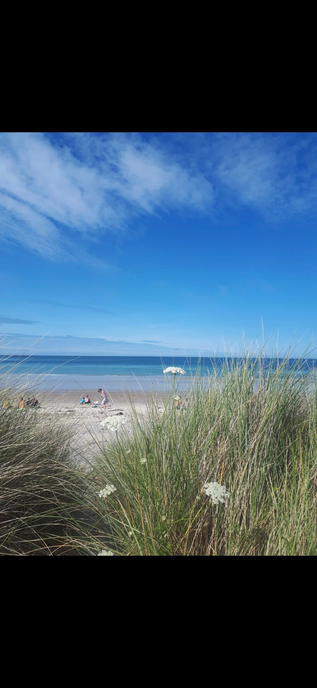 The image captures a tranquil beach scene framed by tall grasses. The clear blue sky spans above, reflecting on the calm sea. People can be seen enjoying the beach, with a sandy shoreline visible in the foreground.