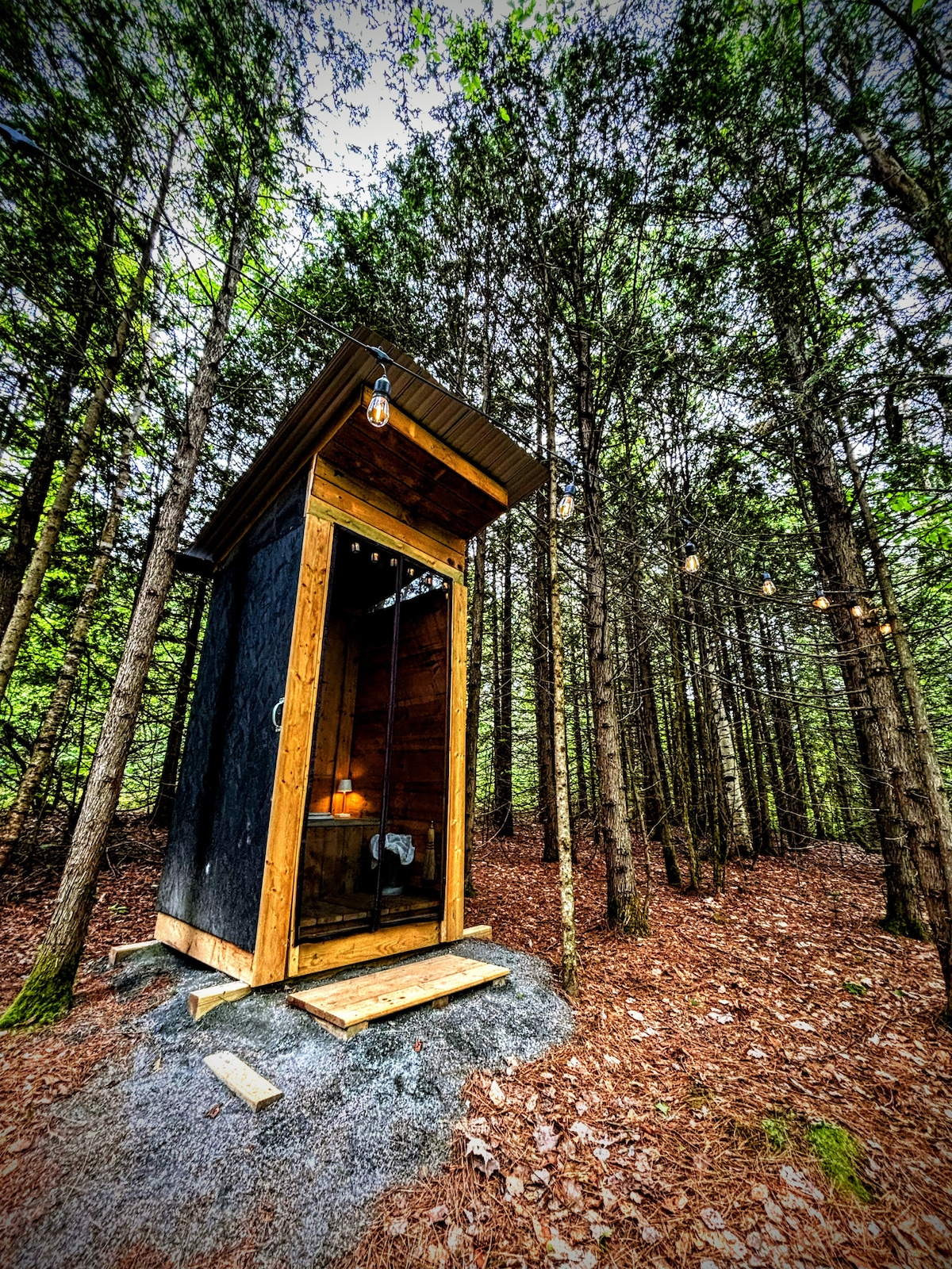 An outhouse made from natural materials stands amidst tall trees, surrounded by a carpet of pine needles. Soft lighting is provided by an overhead bulb. The structure has a wooden door that opens to reveal a simple interior, maintaining a rustic and functional appearance.