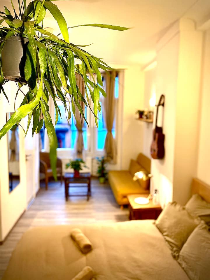 Charmant Studio Bruxellois - Bruxelas