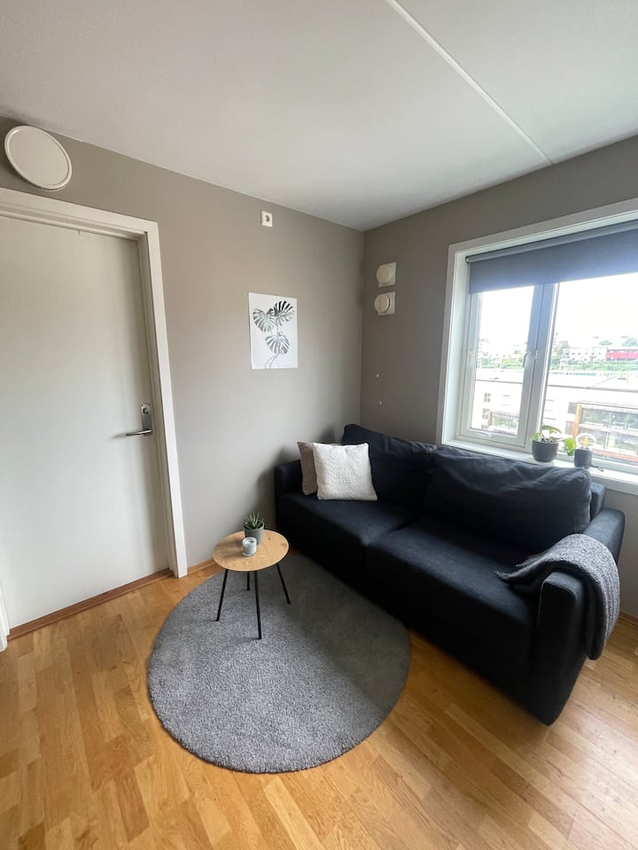 Liten, Koselig, Hybelleilighet: Tidlig Innsjekking - Oslo