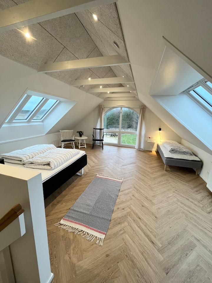 Habitación 1