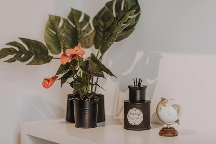 B&b (Bed & Beauty) Mavie & Whirlpool - Ingolstadt