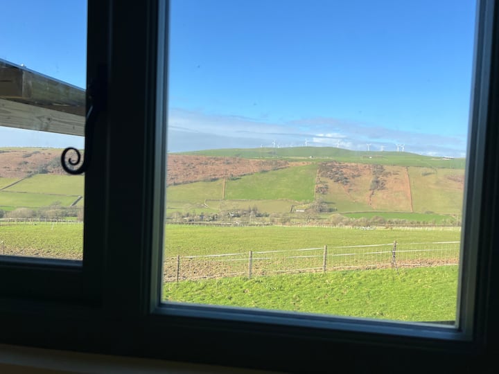 منظر من السرير 