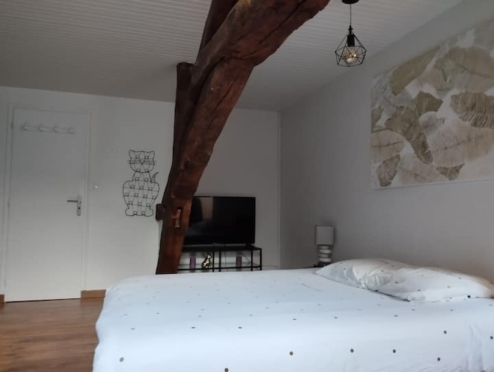 Hlavná spálňa s vlastným sprchovacím kútom