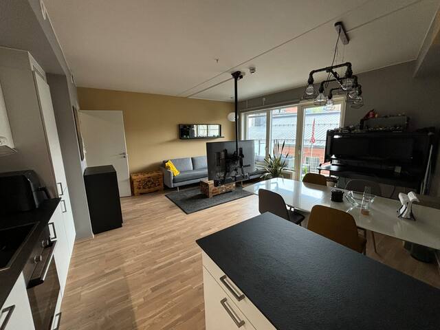 Fresh leilighet gallery image 2