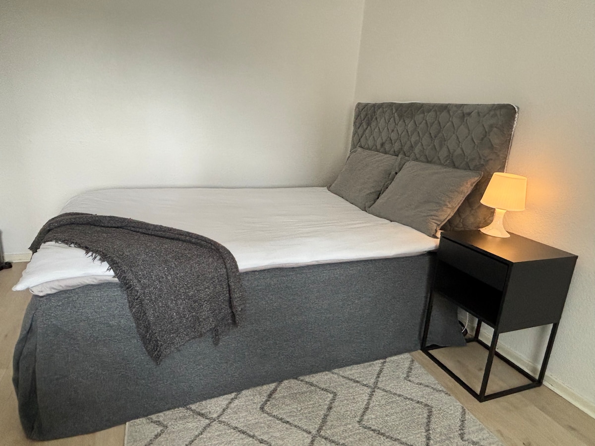 A spacious bed is presented with a grey upholstered headboard and soft bedding. Two pillows rest against the headboard. A bedside table holds a small lamp, providing gentle lighting. A light-colored rug is positioned underneath, contributing to a cozy ambiance.
