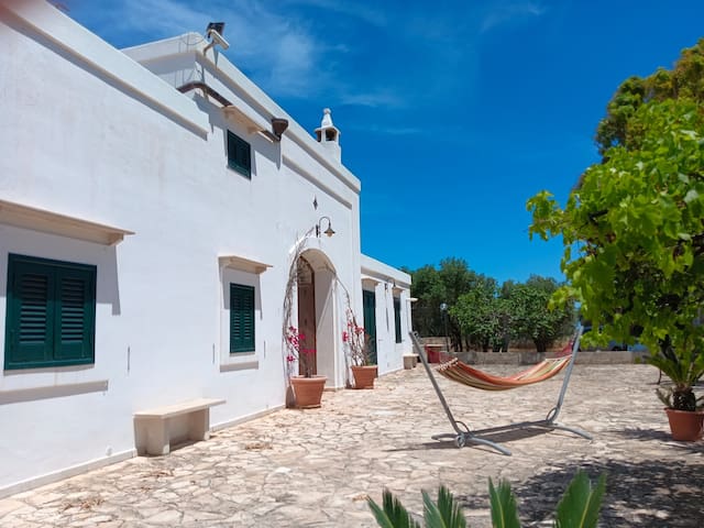 Casale Eucalipto, un uliveto a Monopoli