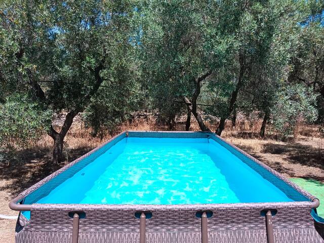 Casale Eucalipto, un uliveto a Monopoli gallery image 3