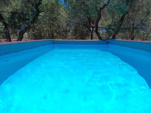 Casale Eucalipto, un uliveto a Monopoli gallery image 2