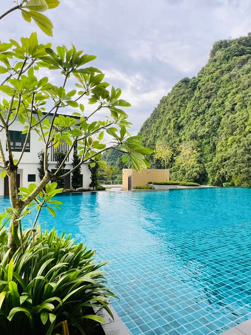 The image features an inviting infinity saltwater swimming pool, bordered by lush greenery and framed by a stunning limestone karst landscape. The tranquil waters reflect the sky, while a nearby tree adds a touch of nature to the serene setting.